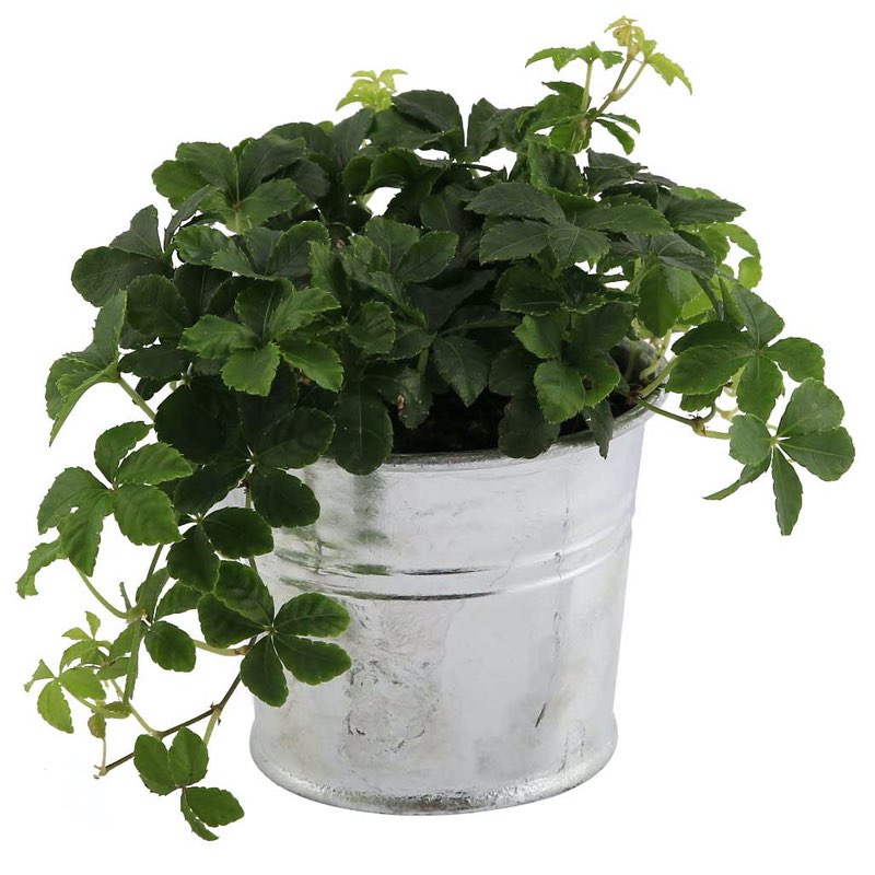 Kvalitets Altanpotte holder