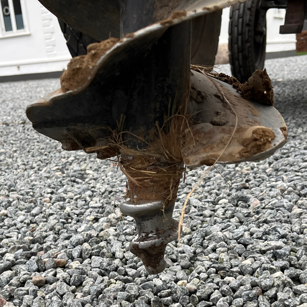 PÆLEBORE
